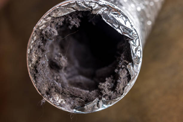 Best Professional Duct Cleaning Services  in Darien, IL